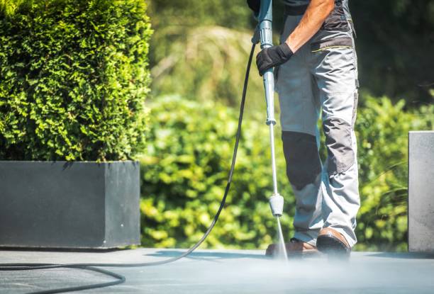 Best Animal Enclosure Cleaning  in North Bellport, NY